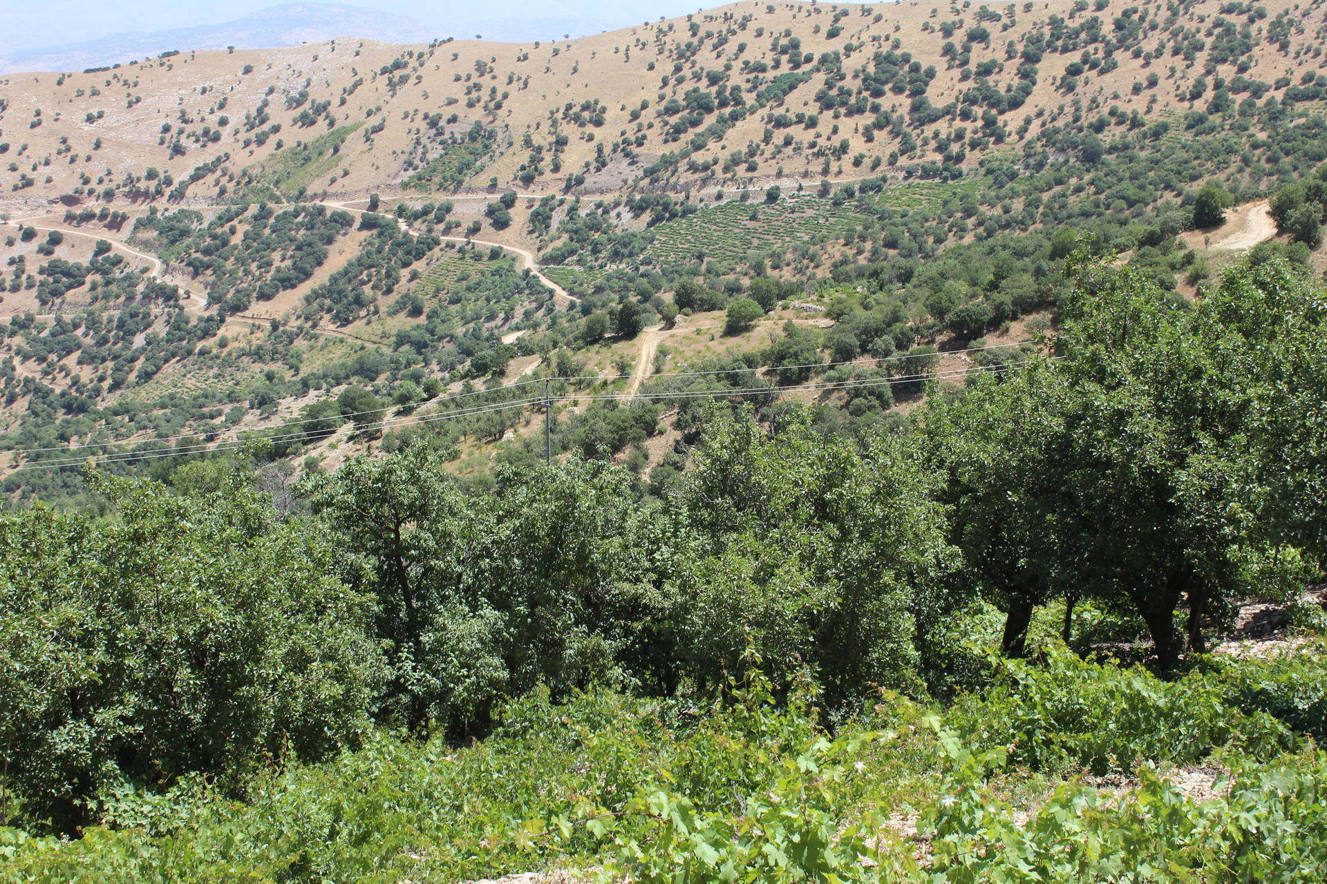 Mountain above Khamza village